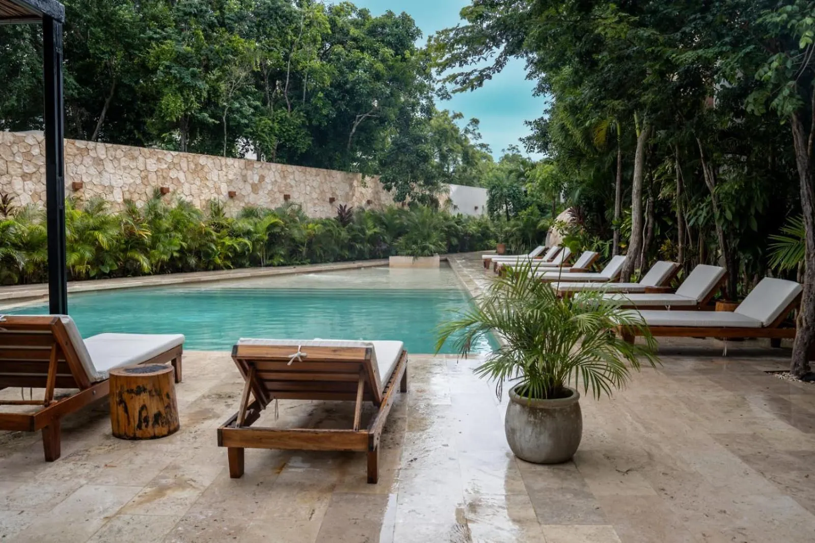 Pent House De Lujo Con Roof Top Privado Rodeado De Naturaleza تولوم 0*,